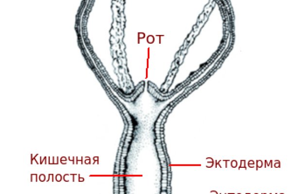 Кракен браузер