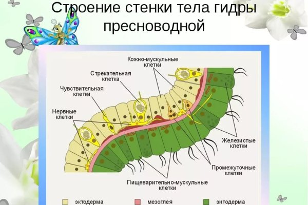 Как зайти в кракен через айфон